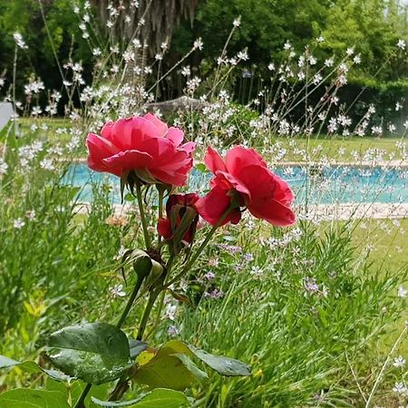 Hopefield Country House Addo Kültér fotó
