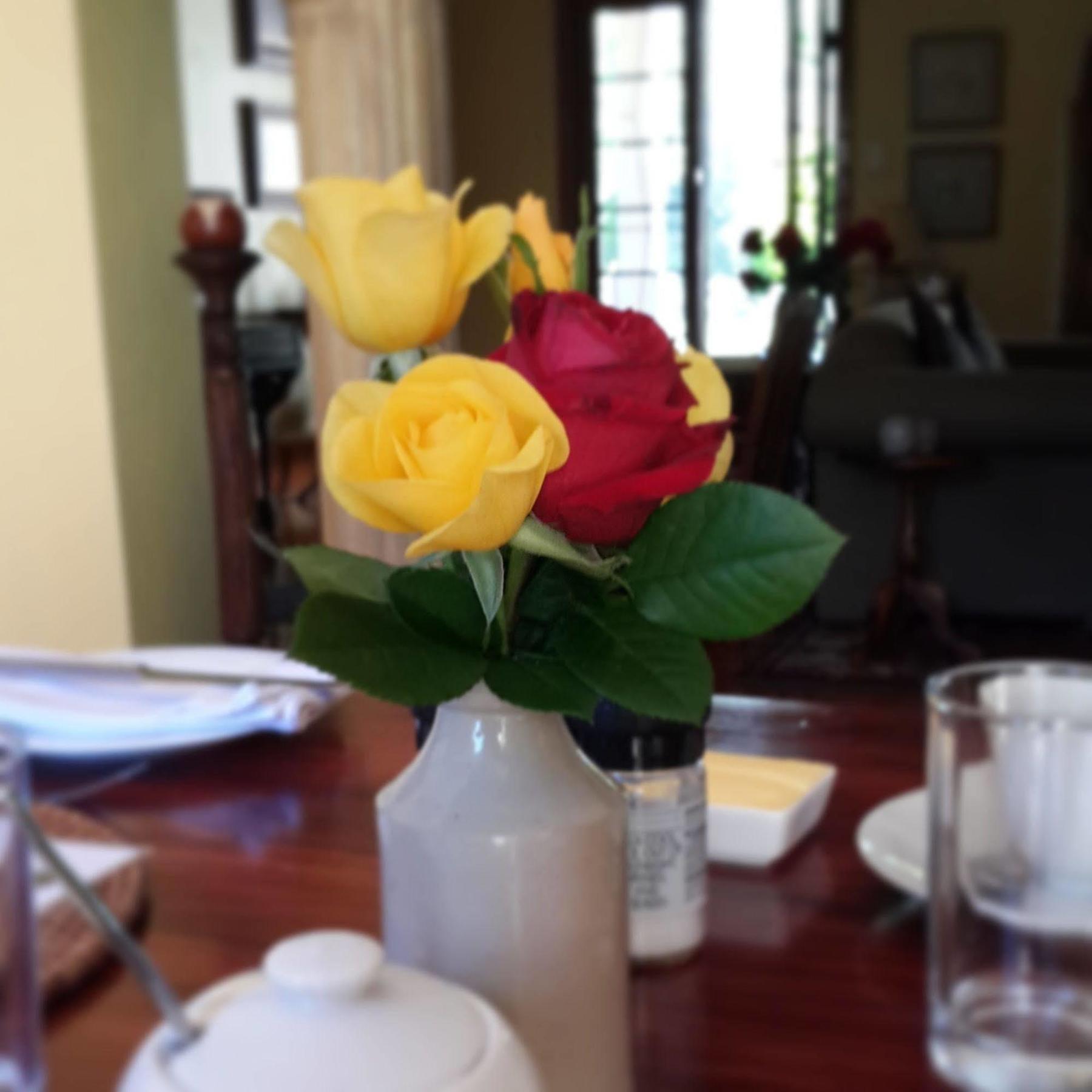 Hopefield Country House Addo Kültér fotó
