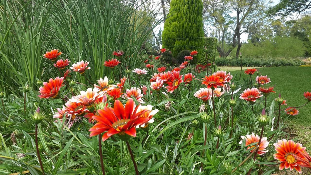 Hopefield Country House Addo Kültér fotó