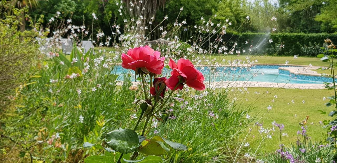 Hopefield Country House Addo Kültér fotó